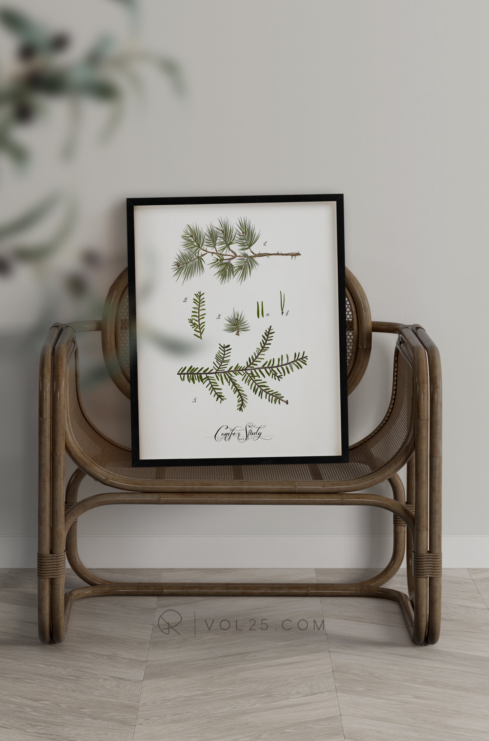 Conifer Study Vol.5 | Textured Cotton Canvas Art Print, several sizes | VOL25