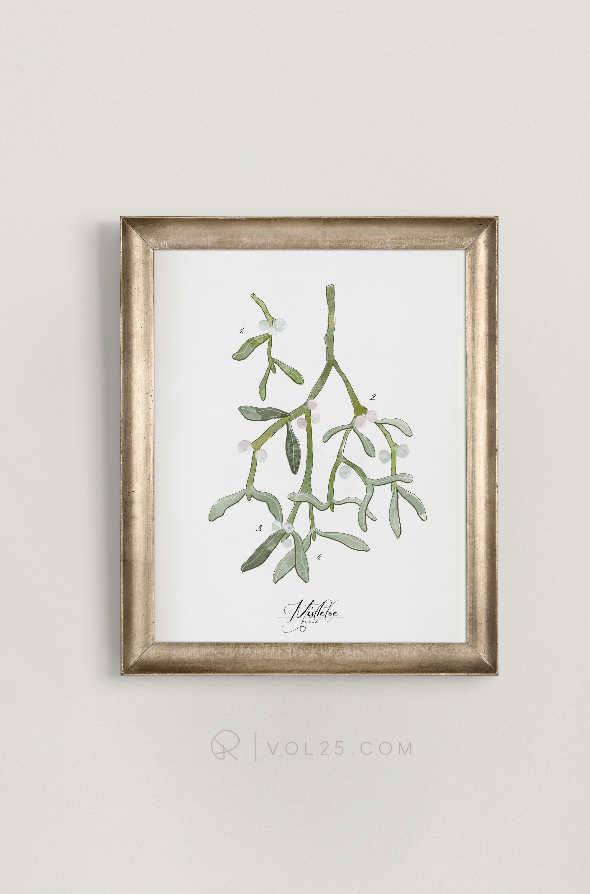 Mistletoe Study Vol.2 | Textured Cotton Canvas Art Print, several sizes | VOL25