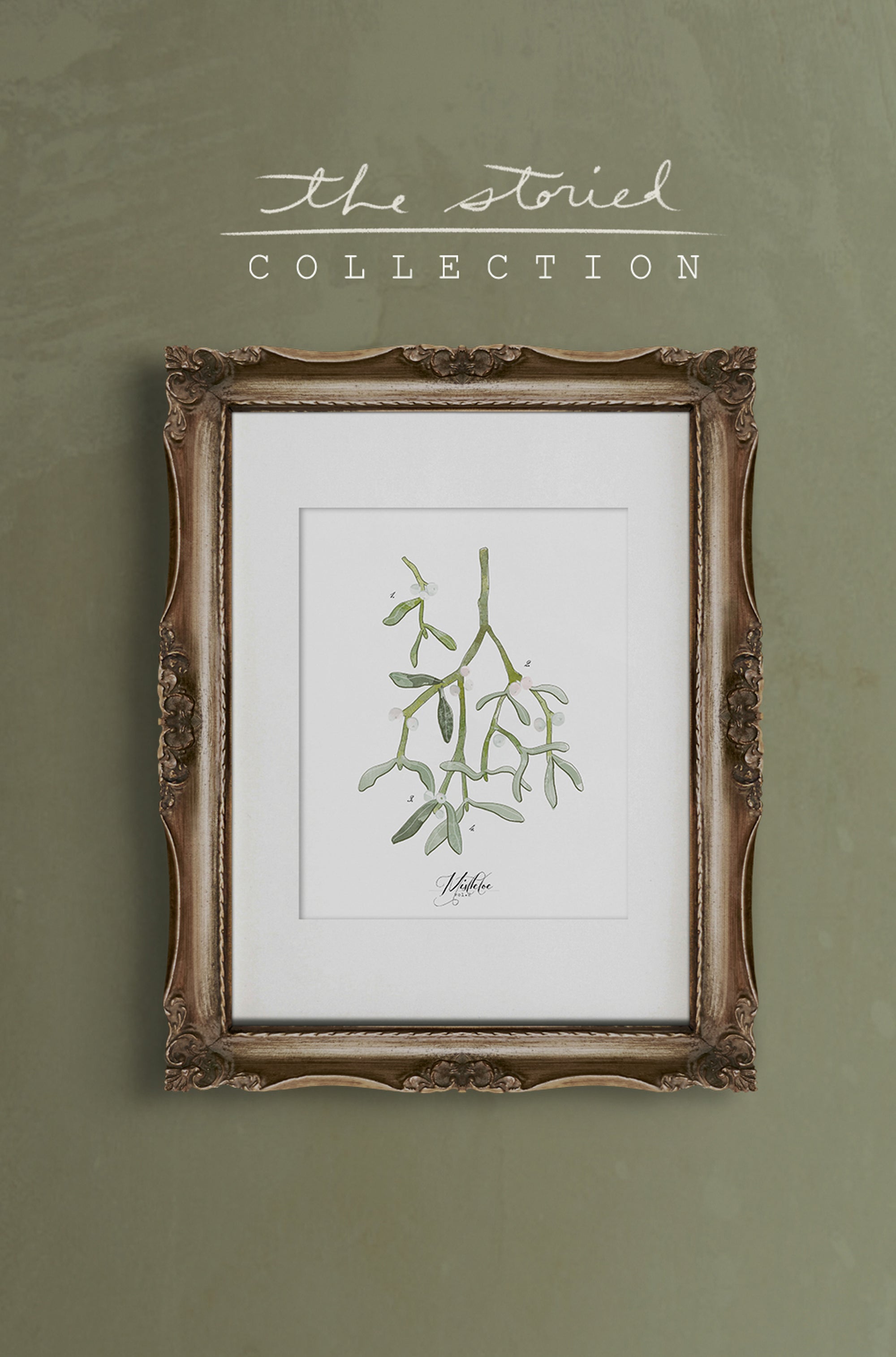 Mistletoe Study Vol.2 | Textured Cotton Canvas Art Print, several sizes | VOL25