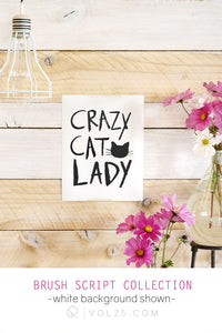 Crazy Cat Lady Brush Script | Textured Cotton Canvas Art Print in 4 Sizes | VOL25 - vol25