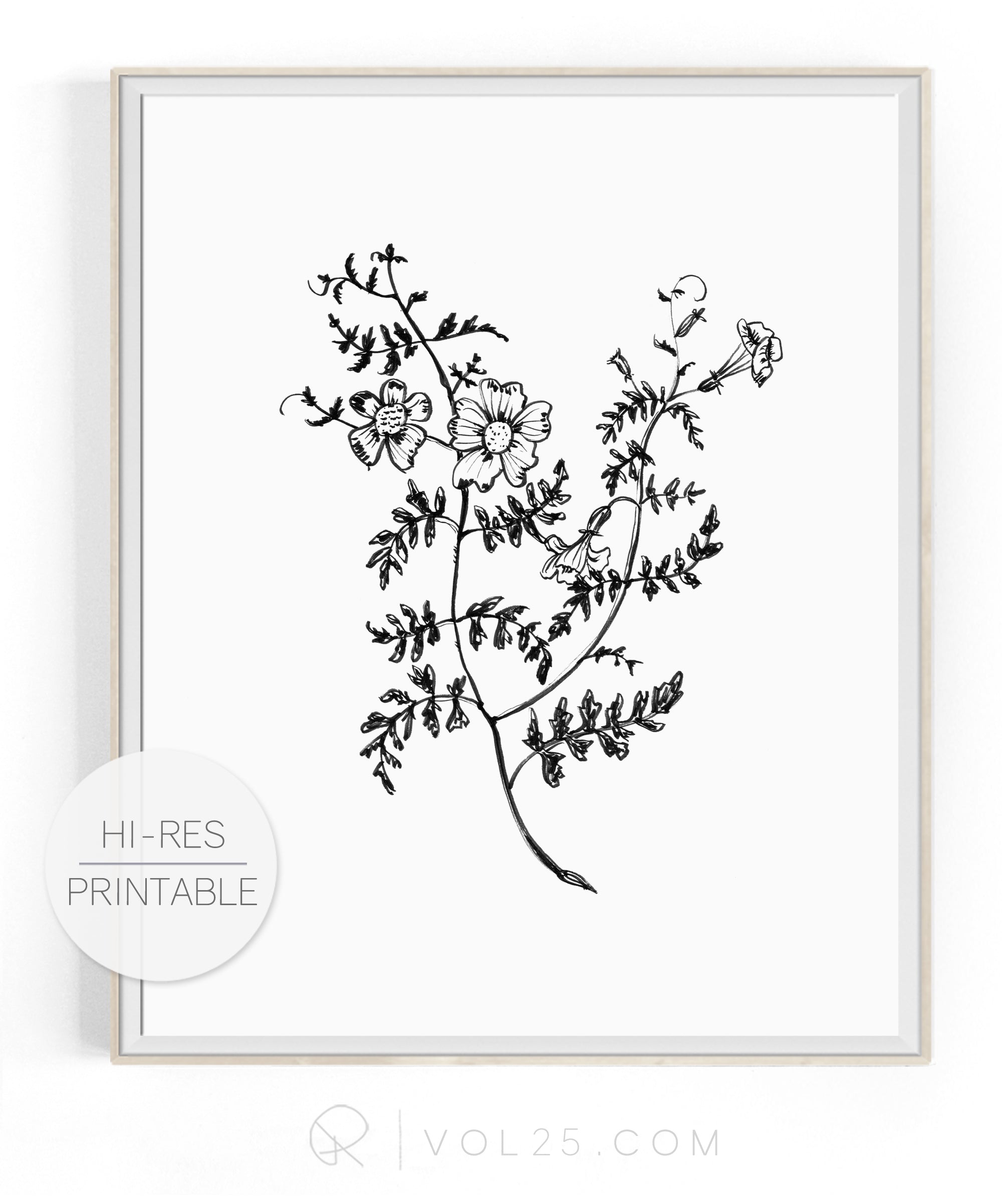 Foxgloves | High quality Large scale printable art