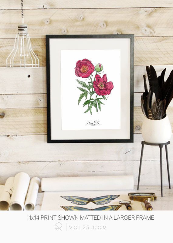 Peony Study | Scientific Textured Cotton Canvas Art Print | VOL25